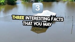3 Mind-Blowing World Facts You Never Knew!