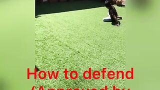 How to defend! (Approved by ramos)