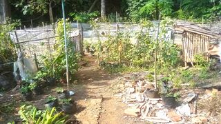 ZB-37  The Garden -04