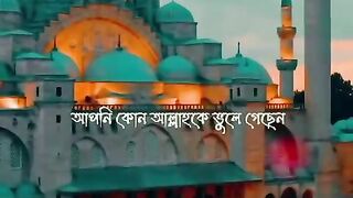 আপনি কোন আল্লাহকে ভুলে গেছেন।