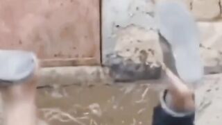 Witch funny videos #funnyshorts #funnyvideo