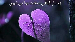 urdu beautiful quotes 6