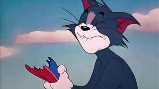 tom and jerry cartoon 5