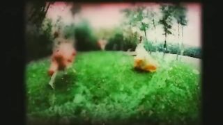 Dave Matthews Band - Crash Into Me (Official Video)