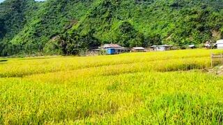 কোলাহল থেকে দূরে, পাহাড়ে আমার একটা ঘর হোক...