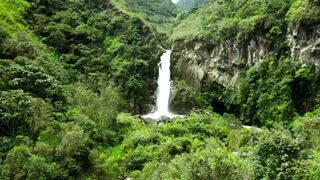 Natural Beautiful Background Video.
