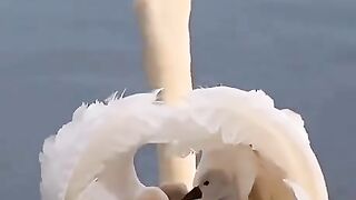 Moment of peace