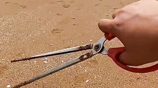 Going to the sea to catch seafood, I found a blue dragon tail, and many strange marine creatures