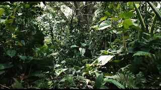 Apocalypto Best Scene (2006)