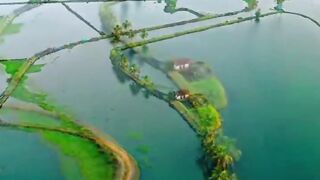 Beautiful Bangladeshi village with great roads