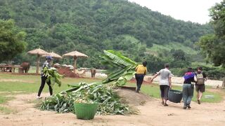 Herd Welcome Their Favorite Person Back Home - ElephantNews.