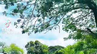 Very nice nature....