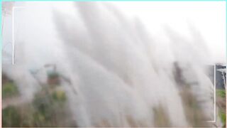 kashful video free Footage কাশফুল ভিডিও। শরৎকালের কাশফুল