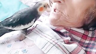 120 Year Old grandma #shorts #birds #Viral