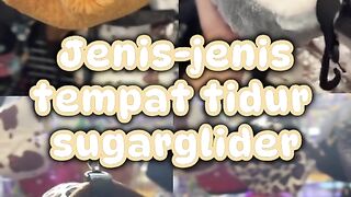 Jenis-jenis tempat tidur suger glider