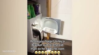 funniest animals videos will cheer you up! best funny animals video for the week.