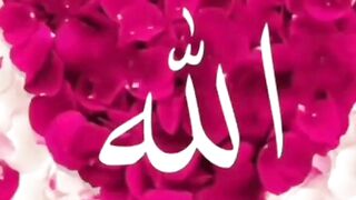 Tik Tok horse video