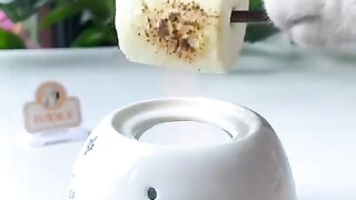cat cooking food /cat food /cute cat