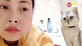 cat reaction entertains owner