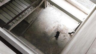 [Official Trailer] NOT ME เขา...ไม่ใช่ผม Thai BL Series