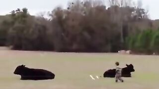 Father of the year award goes to …
