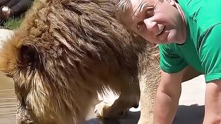 Friendly behave with animal