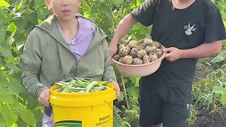 I went to the morning market to sell vegetables again today. I feel a great sense of accomplishment selling the vegetables I grew myself
