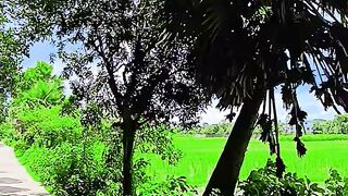 Natural video 131