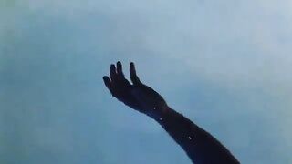 Shawn Mendes - Why Why Why (Official Music Video)
