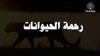 شاهد رحمة الحيوانات... لن تصدق ما ستراه !!!