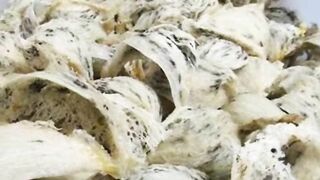 bubur sarang walet  (swallow nest)