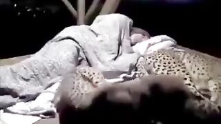 Cheetahs sleeping with human