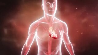 Recognizing a heart attack | 3D Animation