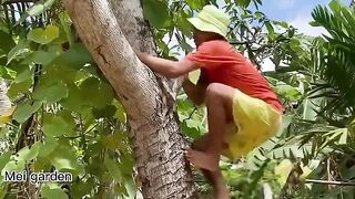 Tree 001