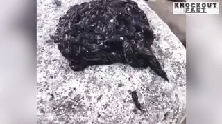 অদ্ভুত এক পদার্থ
