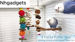 Bird Accessories