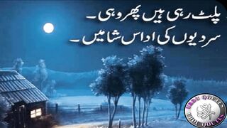Heart Touching Poetry In Urdu | Amazing Collection Of Urdu Poetry | Romantic Urdu Poetry