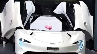 luxury lifestyle