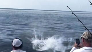 This fish fights to the end