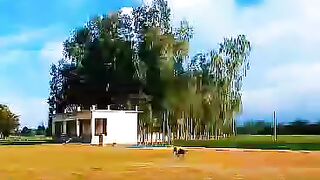 Making Village Cricket Field || We love cricket ||