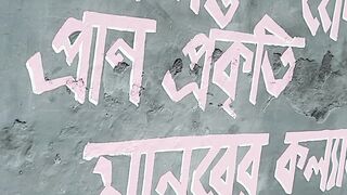 ঢাকার দেয়াল পরিবর্তন