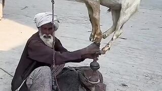 #amayzing  must watch this #