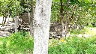 Popular Tree