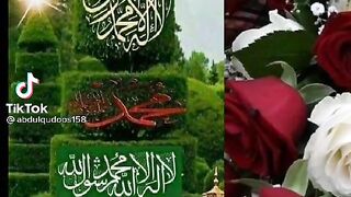 Nat shareef
