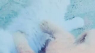 Cute cat  funny moments