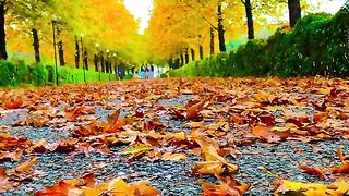 Nature???????? Is very very beautiful????????