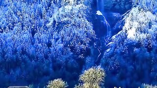 Nature????????????????????????????????