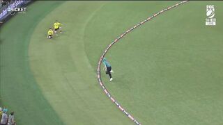 Out or not out?