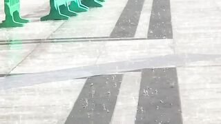 المدينة المنورة أمام القبّة الخضراء على ساكنها أفضل الصلاة وأتم التسليم