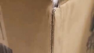 Best_Cute_Cats%F0%9F%98%B9Funny_Fail_ops_Moments_Viral_Clips_%23shorts_Video%F0%9F%98%82___%23trending_%23animals_%23funny_%23reels(48